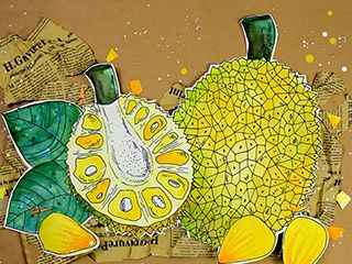 美术画画《热带水果皇后�菠萝蜜》教程欣赏